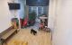 thum-m_pF1oNhbcxj_1659059885.jpg