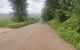 thum-m_JjOuHN3dYX_1659142230.jpg