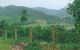 thum-m_sIoz4R3DJb_1659143422.jpg