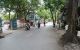 thum-m_17Z8CUtkPb_1659235457.jpg