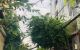 thum-m_e79aU85NH1_1659280659.jpeg