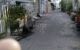 thum-8780406_STgeRBWzH4_1659323787.jpg