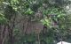 thum-8781419_LHTOCYsJDZ_1659369635.jpg