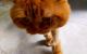 thum-8781570_RipWuTwkSO_1659379870.jpg