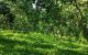 thum-8781965_Kk5HAWTgVt_1659399416.jpg