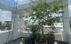 thum-8783097_cDdAmL4WI5_1659429344.jpg