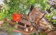 thum-m_APlg8Q7E5W_1659459237.jpg