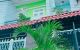 thum-m_k2tvNxOiwW_1659404963.jpg