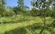 thum-8785264_flktTuIveU_1659513158.jpg