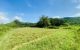 thum-8785337_omf0Jb6sAT_1659514700.jpg