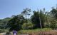 thum-8785557_LE1G4kbCFx_1659519286.jpg