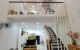 thum-m_ePHykXCnWT_1659516166.jpg