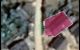 thum-8786775_dbcWwJGpaE_1659581077.jpeg