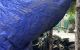 thum-8787235_LS3DkK4oHh_1659595506.jpg