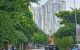 thum-8788074_8eyGnNZB26_1659636345.png