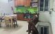 thum-8789866_AR5s7l2q1u_1659715213.jpg