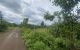 thum-8790352_k1g2C3xADu_1659748435.jpg