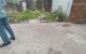 thum-m_3nquOZ4NFz_1659748929.jpg