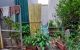 thum-m_BvWz4gdQbe_1659804963.jpg