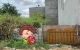 thum-8794050_ry4l3PvOab_1659924987.jpg