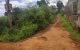 thum-8794557_Km8fWJGTnd_1659941033.jpg