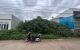 thum-m_sKngouk4af_1659939361.jpg