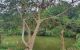 thum-8795929_DwfELikoMe_1660012094.jpg