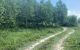 thum-8796847_8GSpusyrlQ_1660036340.jpg