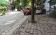 thum-8797135_k70QrtOsfG_1660063747.jpg