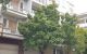 thum-m_2CAlWJTmRV_1660058542.jpg