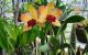 thum-m_9UeV0vQXwD_1660034370.jpg