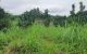 thum-m_pbC5nFVMgZ_1660012089.jpg