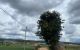 thum-8798142_3dnvNEWlg7_1660101511.jpg