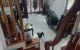thum-8798802_naxFSvN5dG_1660119517.jpg