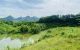 thum-8799125_84LV6Jopf5_1660143261.jpg