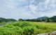 thum-8799748_A9eG8r1PjY_1660182908.jpg