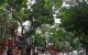 thum-8800519_gmiIqyKY6Q_1660204289.jpg