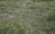 thum-8800734_1pex2CFBac_1660209751.jpg