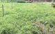 thum-8801544_HFxADeGdMY_1660269752.jpg