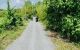 thum-8801544_bThMnpyOie_1660269748.jpg
