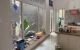 thum-8802086_dvez63HbcE_1660285248.jpg