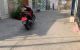 thum-8802336_Sk8lPzdwX5_1660292650.jpg