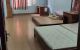 thum-8802384_7X56MrDzZc_1660293825.jpg