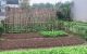 thum-8802627_GCzou3xh2V_1660317555.jpg
