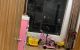 thum-8802684_uXxdfqLAOk_1660321667.jpg