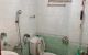 thum-8803620_Vzg5Noq2lC_1660357085.jpg