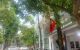 thum-8804173_7SEXwNCd5v_1660375718.jpg
