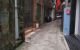 thum-8804524_A0H5tRpXmz_1660402880.png