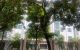 thum-m_wFXrG8NEId_1660375705.jpg