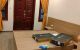 thum-8805639_tLoMGNhVgb_1660472036.jpg